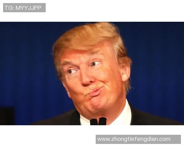 探寻弗格的魅力与影响力，揭示其在当代文化中的重要地位与价值